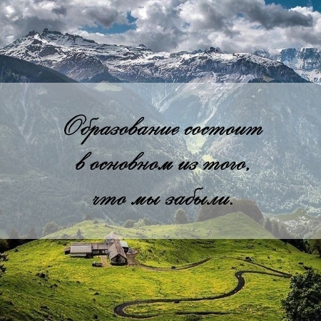 цитата об образовании и реферате